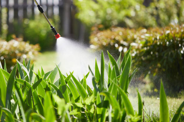 Tamper-Resistant Bait Stations for Rodents in La Plata