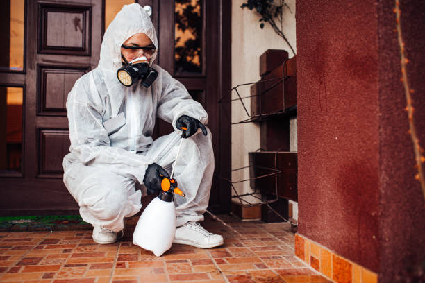 Attic and Crawl Space Rodent Treatment in La Plata