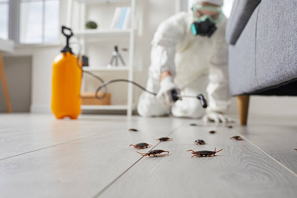Commercial Rodent Management in La Plata